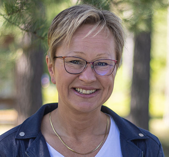 Beskrivelse av bildet